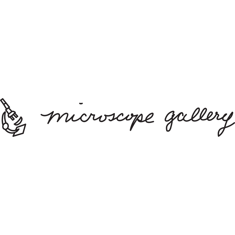 Microscope Gallery