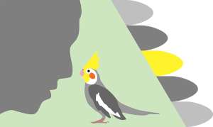 A grey silhouetted face leans towards an illustrated cockatiel with yellow head feathers. Grey and yellow shapes reminiscent of feathers appear towards the right.