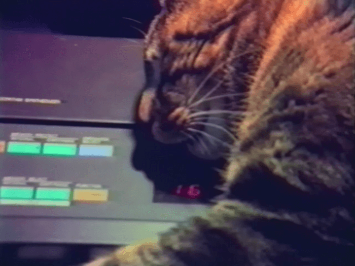 Screencap of Chat ecoutant la musique by Chris Marker, showing a cat lying on an electronic keyboard